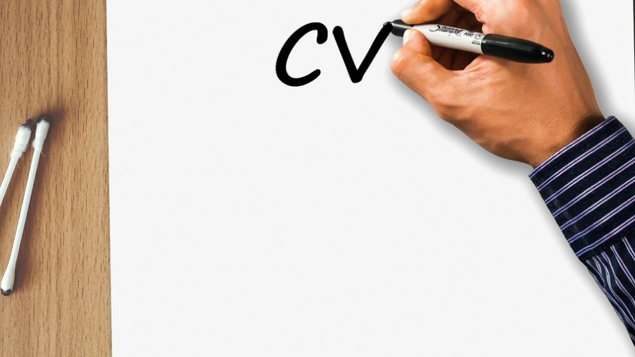 Curriculum Vitae (CV)